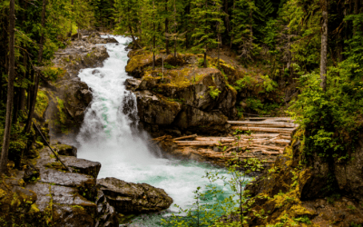 Ecotherapy Origins: How to integrate Sauna, Cold Therapy, Fire Gatherings